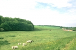Fonds de Chantraine