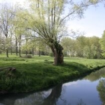 Le Geer